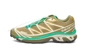 Salomon XT-6 Dried Herb