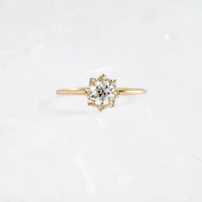 Sapling Ring, 0.57ct. Old European Cut - OOS