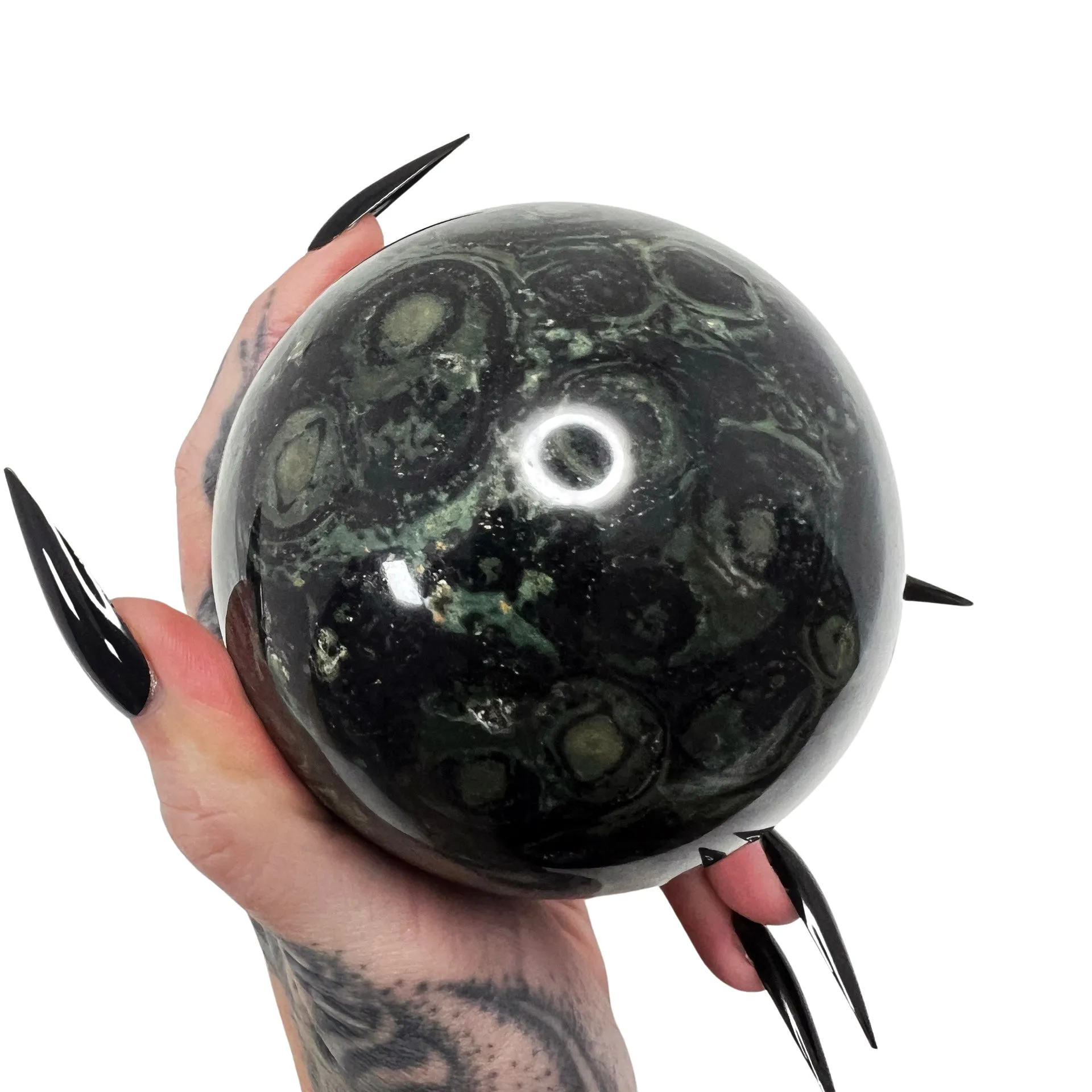 Swamp Witch Kambaba Jasper Sphere 3 *free shipping*