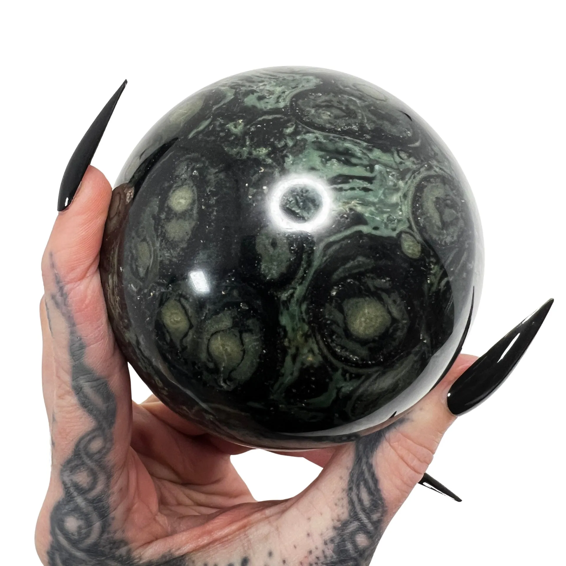 Swamp Witch Kambaba Jasper Sphere 3 *free shipping*