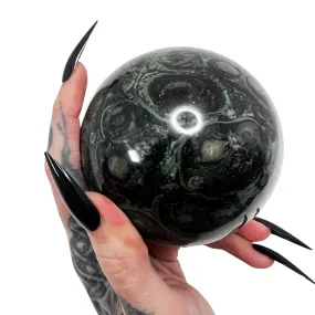 Swamp Witch Kambaba Jasper Sphere 3 *free shipping*