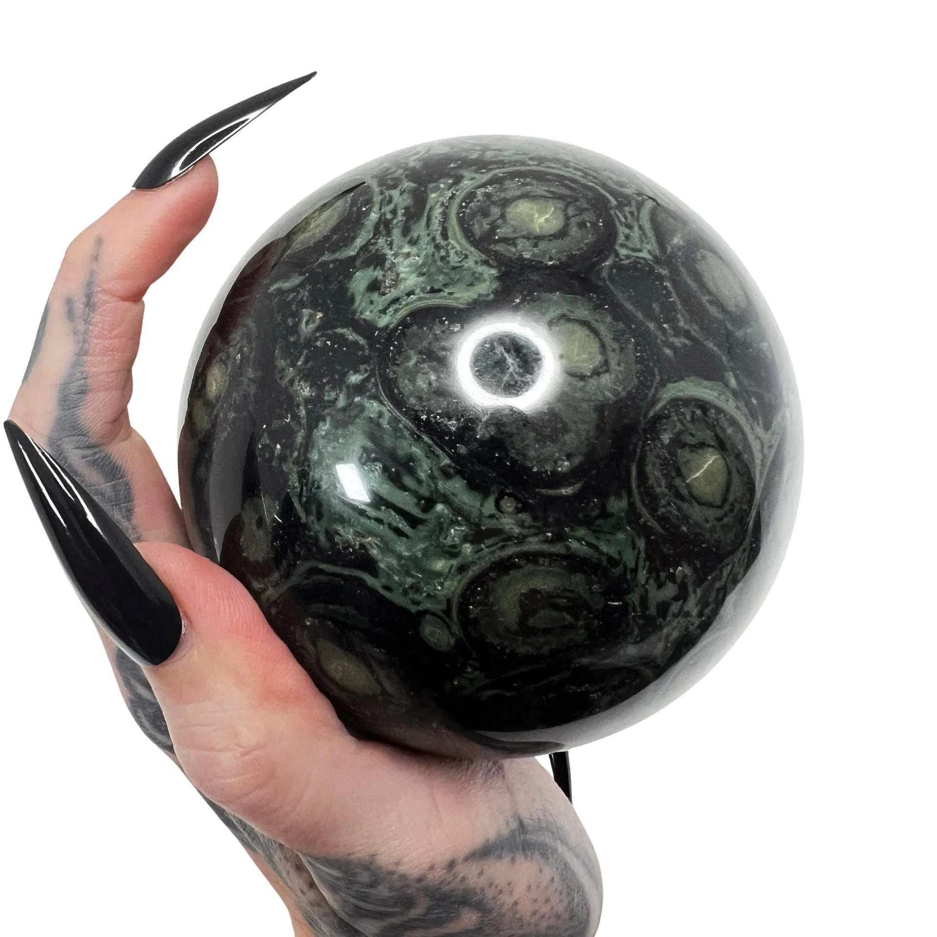 Swamp Witch Kambaba Jasper Sphere 3 *free shipping*