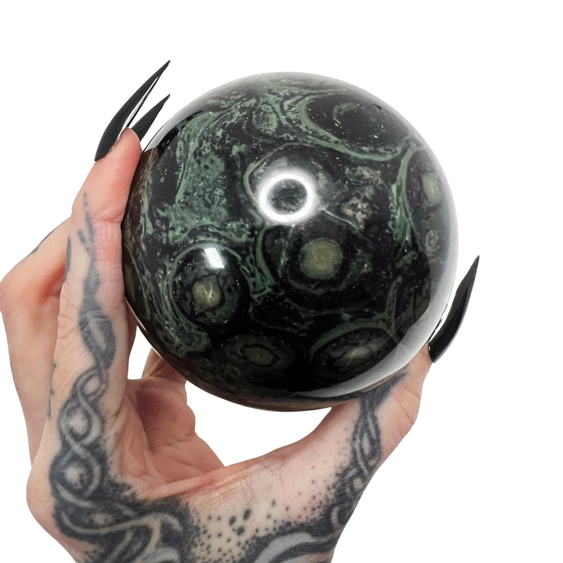 Swamp Witch Kambaba Jasper Sphere 3 *free shipping*