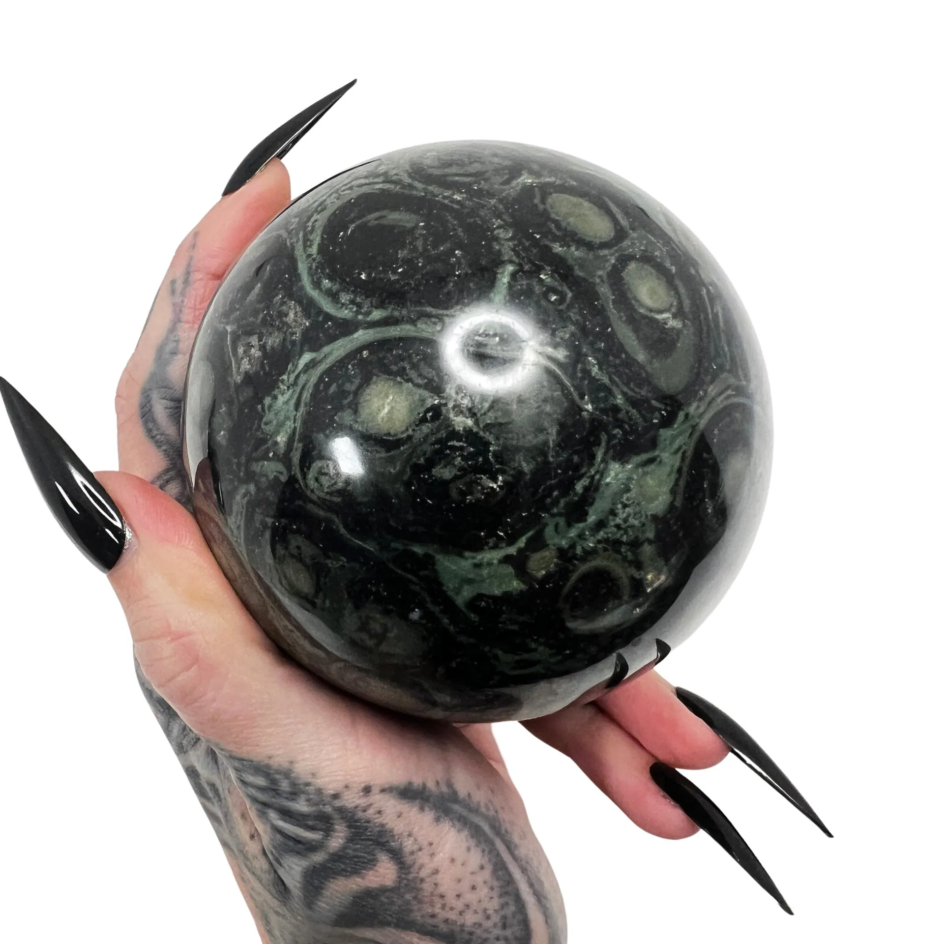 Swamp Witch Kambaba Jasper Sphere 3 *free shipping*